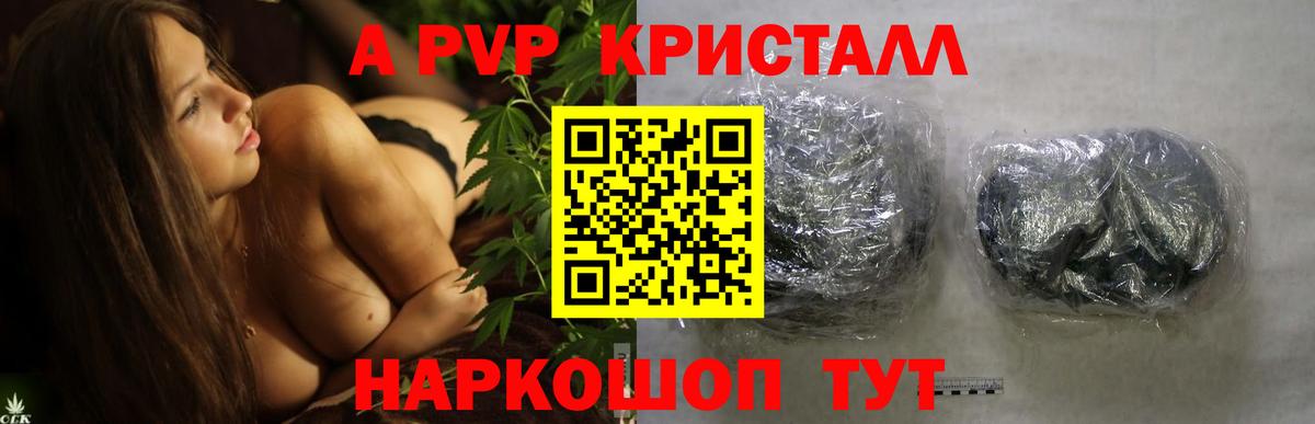 A PVP СК КРИС Алейск