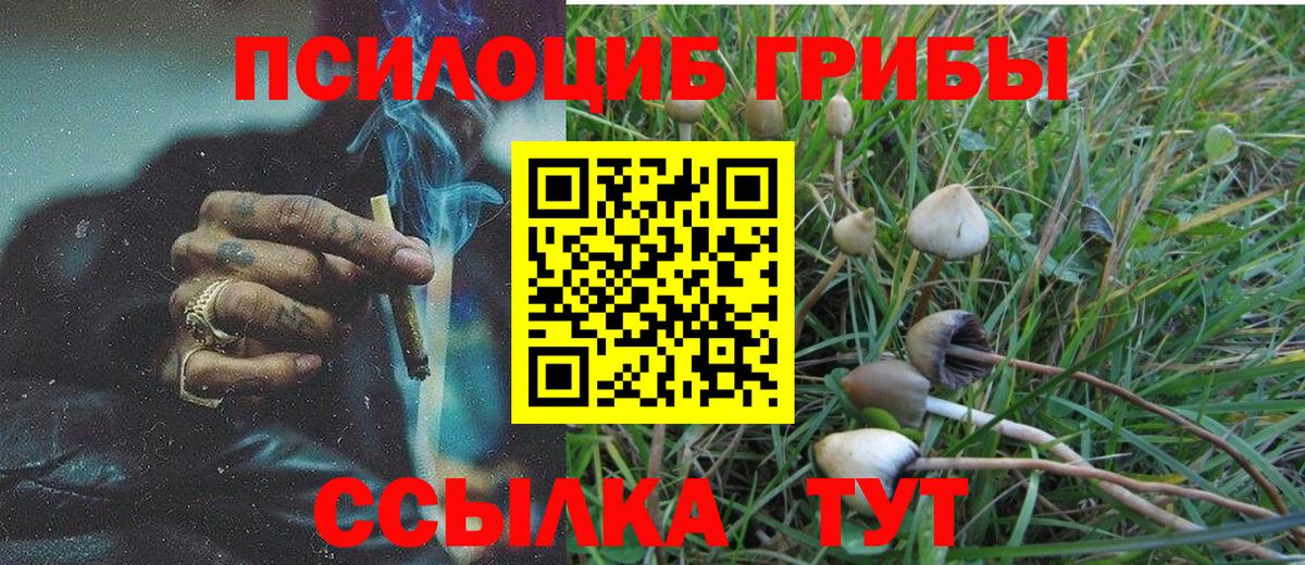 МЕФ кристаллы  Каннабис  Вход с VPN  Меф МЯУ МЯУ  Алейск  МЕТАДОН  ГАШИШ  Конопля  COCAIN 
