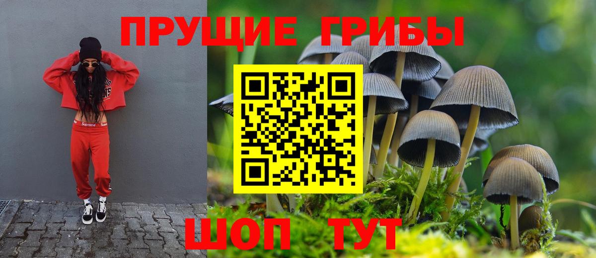 Псилоцибиновые грибы Magic Shrooms Алейск