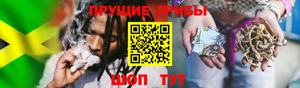 Псилоцибиновые грибы Magic Shrooms  Алейск 